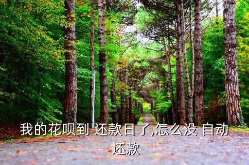 支付宝无自动还款,如何开通自动还款服务?