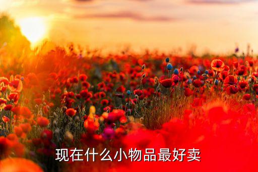 现在什么小物品最好卖