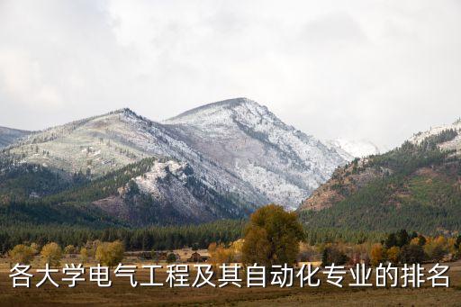 各大学电气工程及其自动化专业的排名