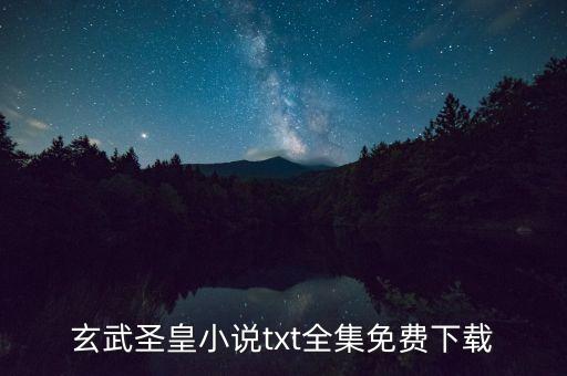 玄武圣皇小说txt全集免费下载