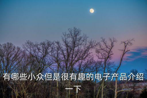 十大高科技产品小众，有哪些很轻的高科技产品