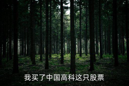 我买了中国高科这只股票