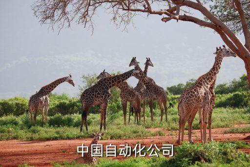 中国自动化公司