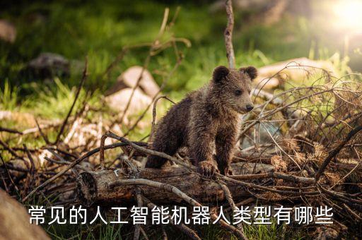 生活中常用的人工智能有哪些，常见的人工智能机器人类型有哪些