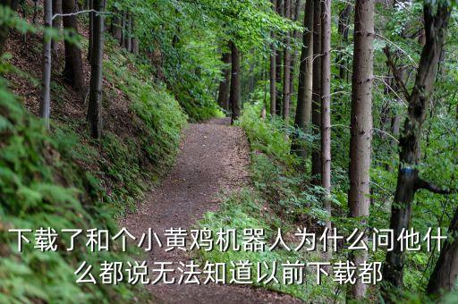下载了和个小黄鸡机器人为什么问他什么都说无法知道以前下载都