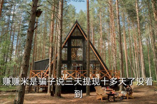 赚米新媒体平台，赚米平台能打字和试玩app赚钱吗