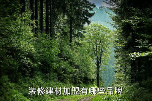 装修建材加盟有哪些品牌