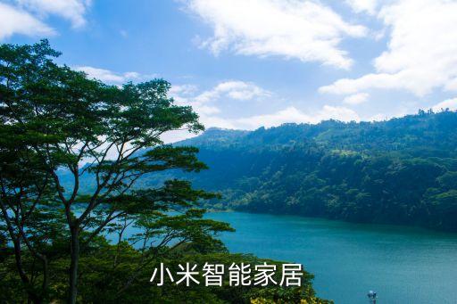 小米家居智能家庭，小米智能家居