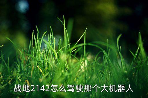 战地2142怎么驾驶那个大机器人