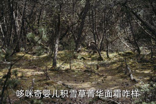哆咪奇婴儿积雪草菁华面霜咋样