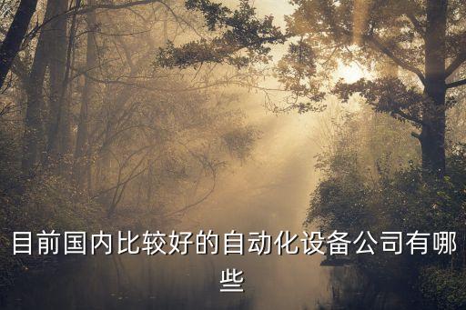 目前国内比较好的自动化设备公司有哪些