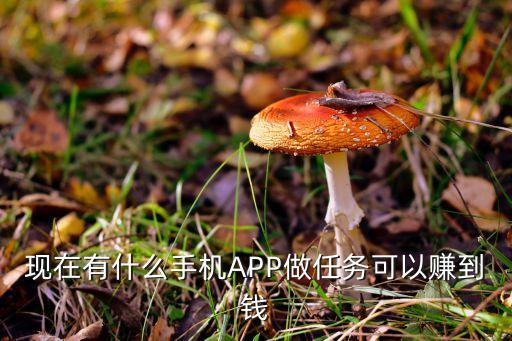 现在有什么手机app做任务可以赚到钱