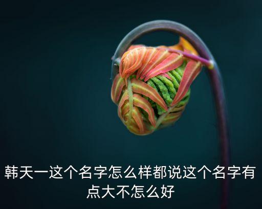 韩天一这个名字怎么样都说这个名字有点大不怎么好