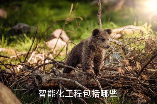 智能化工程包括哪些