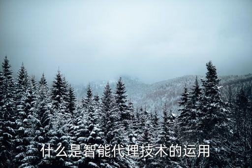 什么是智能代理技术的运用
