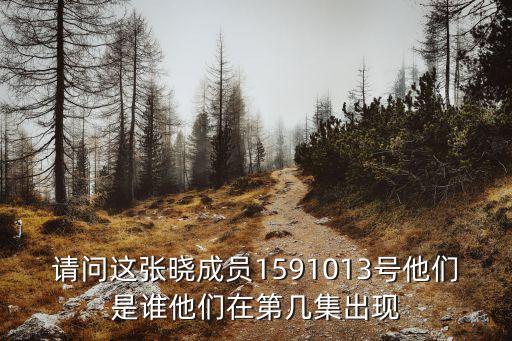 请问这张晓成员1591013号他们是谁他们在第几集出现