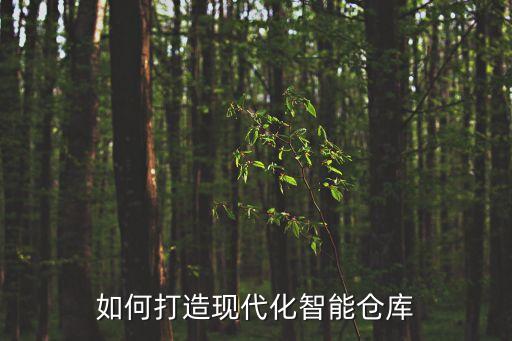 智能自动化仓库做大做强，自动化立体仓库如何实现高效运作