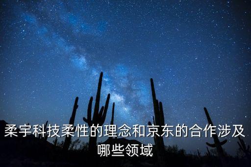 柔宇科技柔性的理念和京东的合作涉及哪些领域