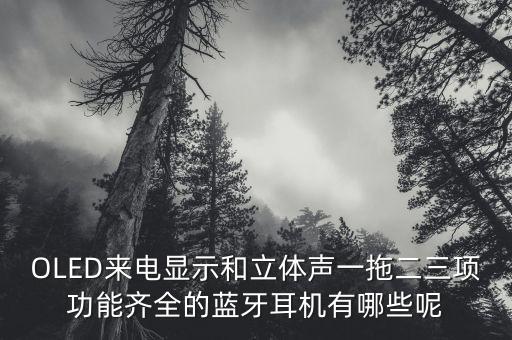 oled来电显示和立体声一拖二三项功能齐全的蓝牙耳机有哪些呢