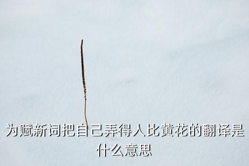 为赋新词把自己弄得人比黄花的翻译是什么意思