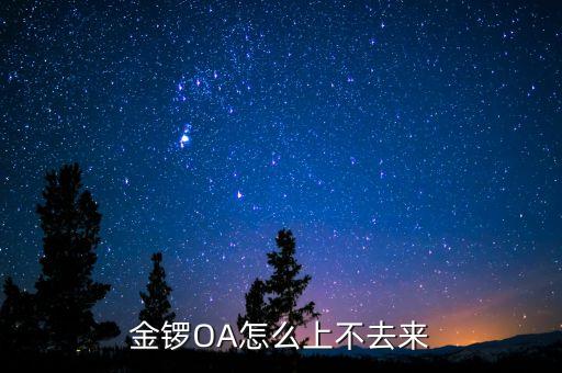 临沂金锣oa办公系统，金锣oa怎么上不去来