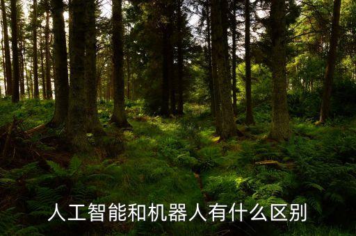 人工智能和机器人有什么区别