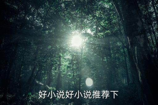 好小说好小说推荐下