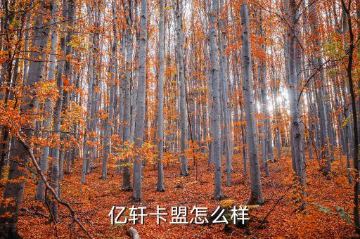 亿轩卡盟怎么样