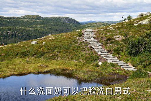 智能系统学报影响因子，情报学报与中文信息学报相比哪一个的影响因子更大一些