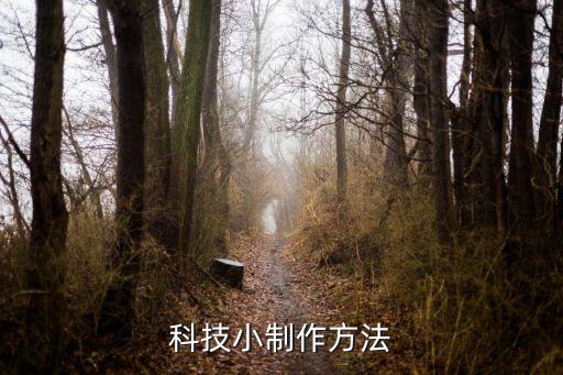 科技小制作教程视频大全下载，科技小制作方法