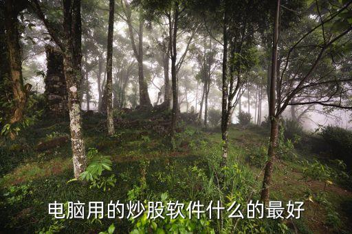 电脑版炒股软件哪个最好，电脑用的炒股软件什么的最好