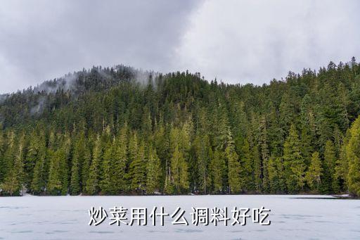 炒菜用什么调料好吃
