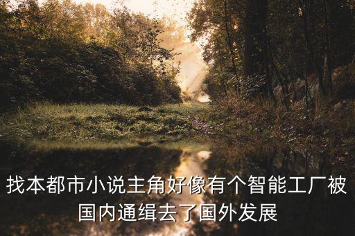 智能工厂系统小说，找本都市小说主角好像有个智能工厂被国内通缉去了国外发展