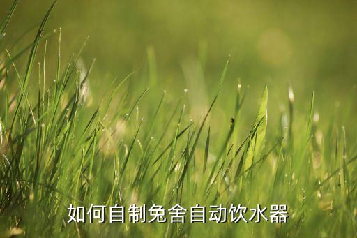 简易自动饮水机制作方法，如何自制兔舍自动饮水器