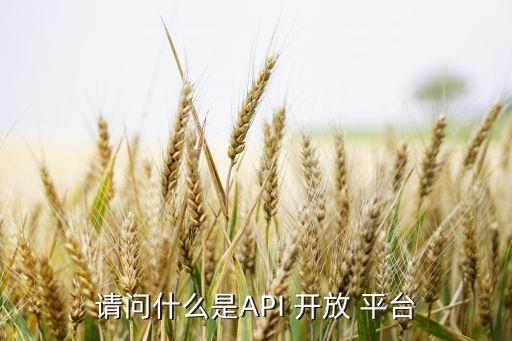 请问什么是api 开放 平台