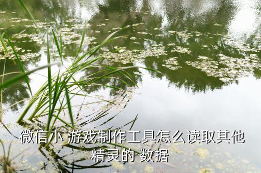  微信小 游戏制作工具怎么读取其他精灵的 数据