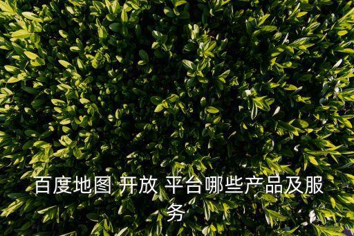  百度地图 开放 平台哪些产品及服务