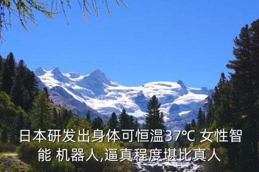 女性电动性机器人,电动拍打机器人