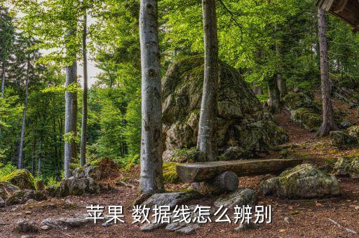 苹果 数据线怎么辨别