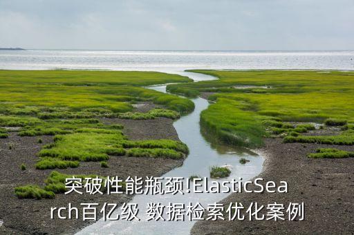突破性能瓶颈!elasticsearch百亿级 数据检索优化案例
