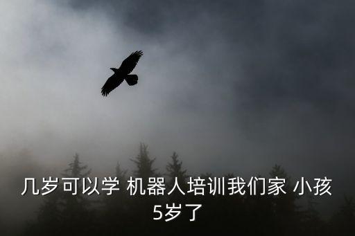 几岁可以学 机器人培训我们家 小孩5岁了