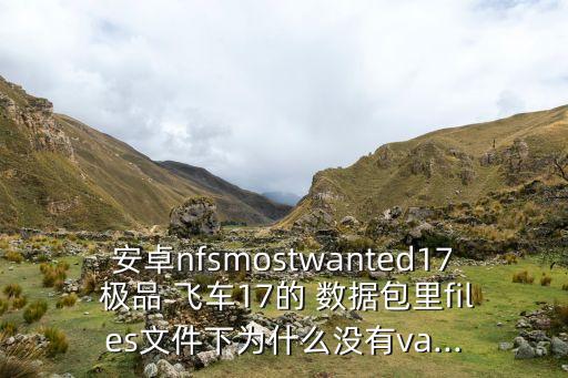 安卓nfsmostwanted17 极品 飞车17的 数据包里files文件下为什么没有va...