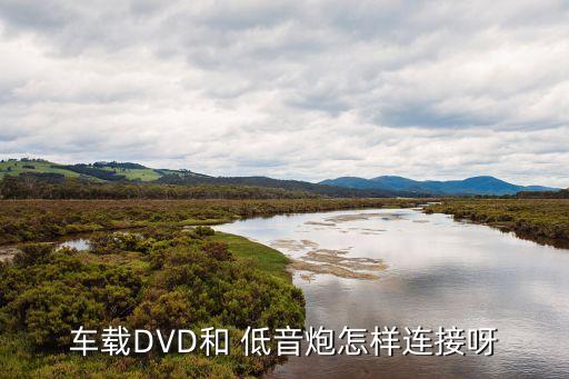 车载dvd和 低音炮怎样连接呀