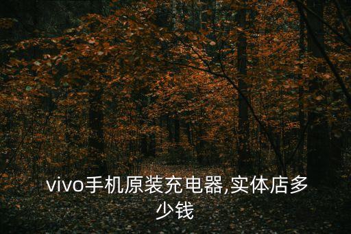  vivo手机原装充电器,实体店多少钱