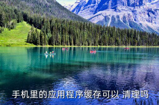 手机软件数据清理,苹果手机软件数据怎么清理
