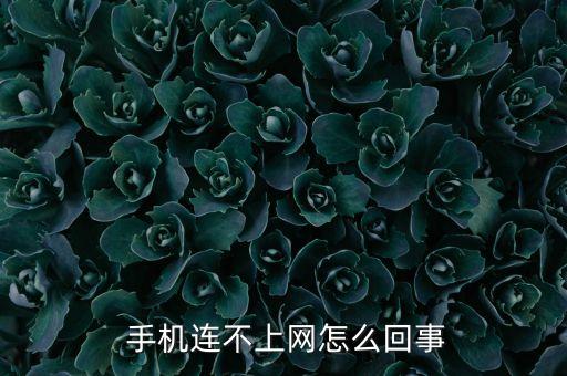 手机自己连接数据连接不上去怎么办