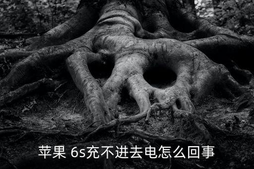 苹果 6s充不进去电怎么回事