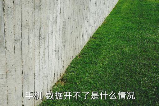  手机 数据开不了是什么情况