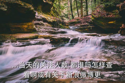2017微博微数据怎么看,微博怎么看偶像的粉丝数据
