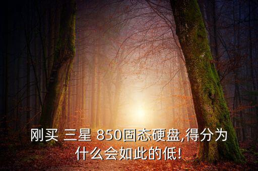刚买 三星 850固态硬盘,得分为什么会如此的低!